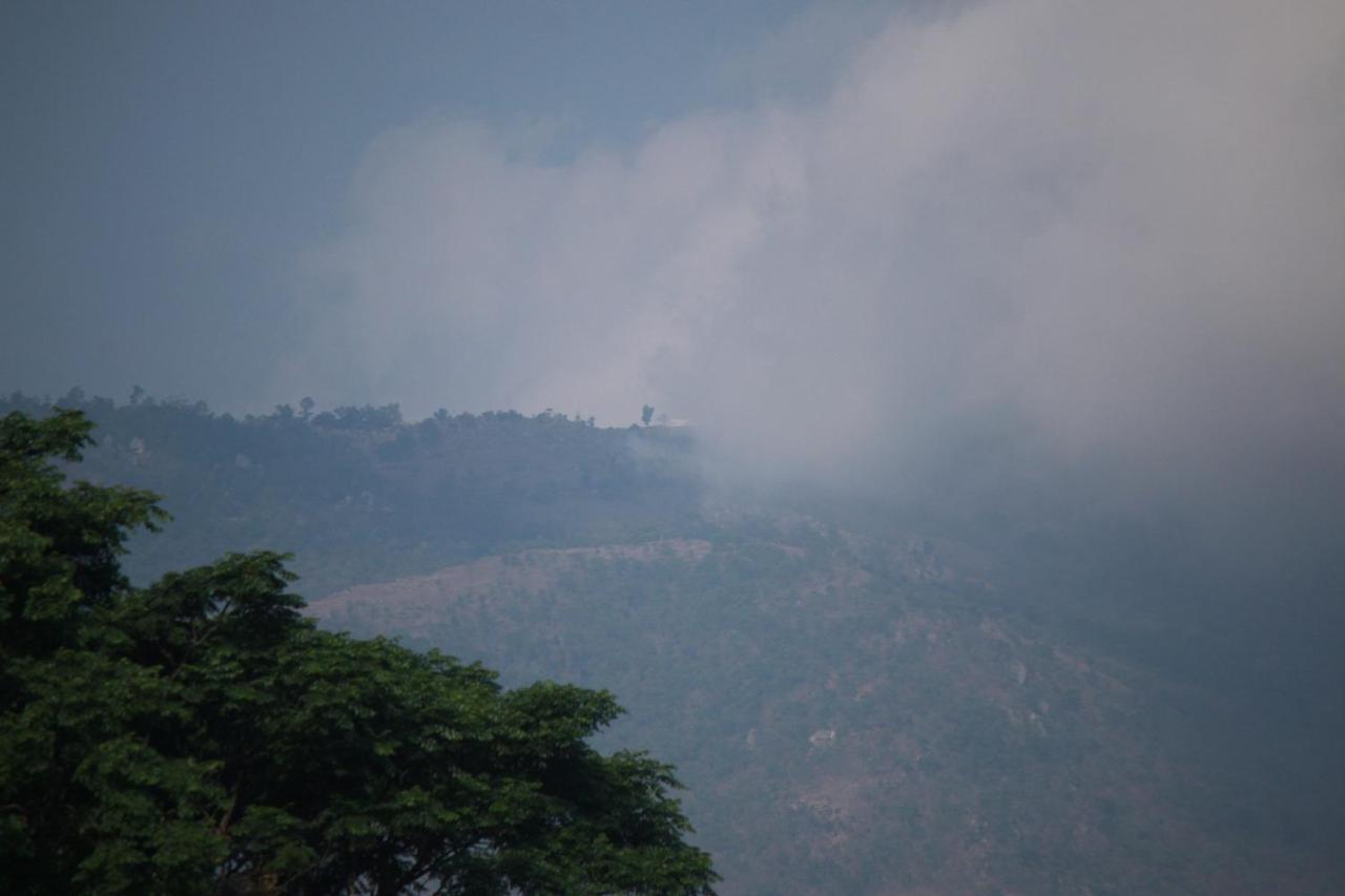 Vividearth Resorts Bandipur Bandipūr Exterior foto